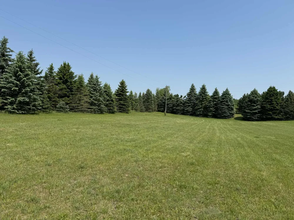 6294 100th Avenue Evart, MI 49631