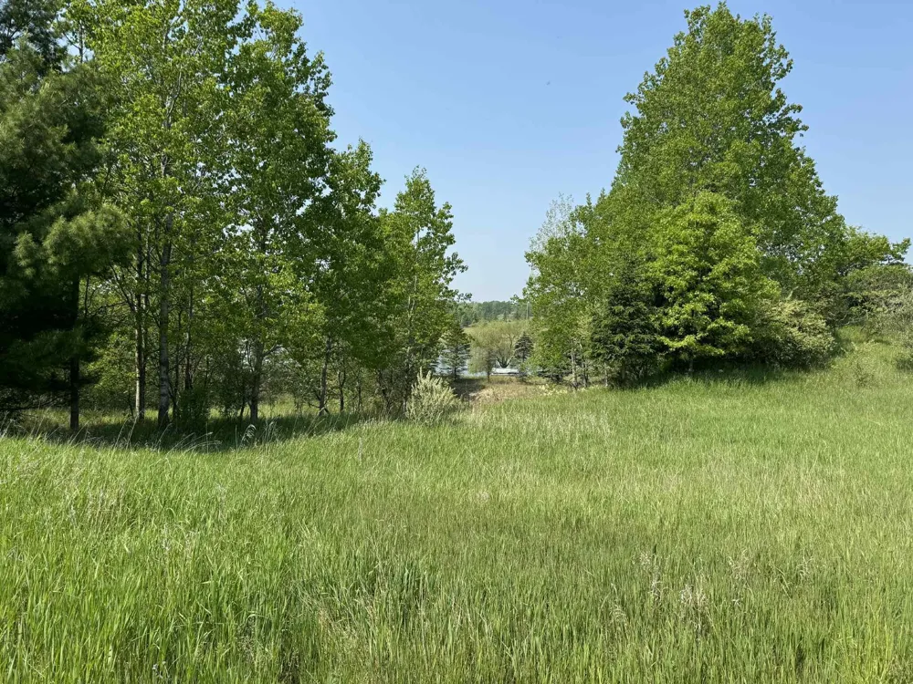 6294 100th Avenue Evart, MI 49631