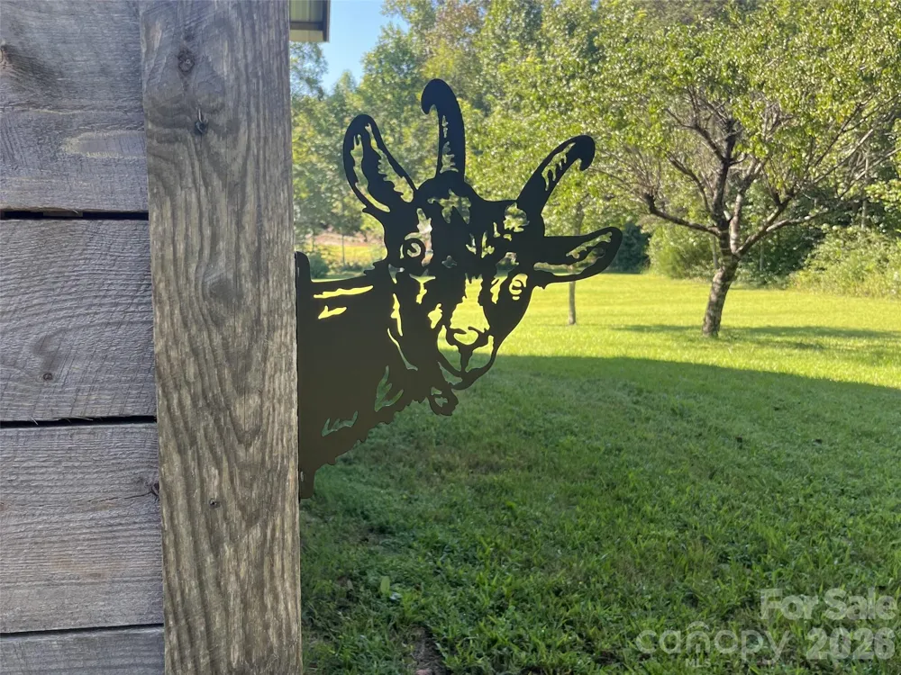 1867 Bills Creek Road Lake Lure, NC 28746