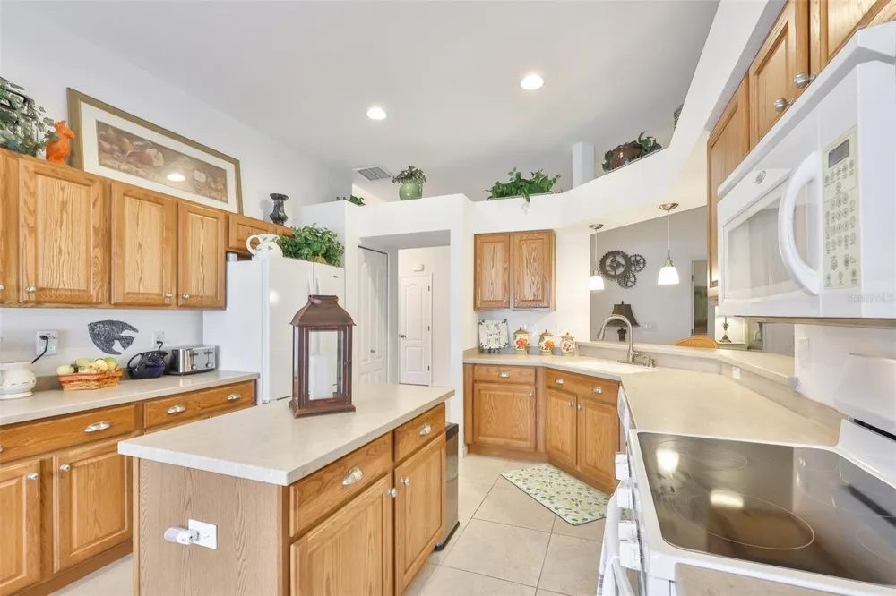 1251 CORINTH GREENS DRIVE Sun City Center, FL 33573