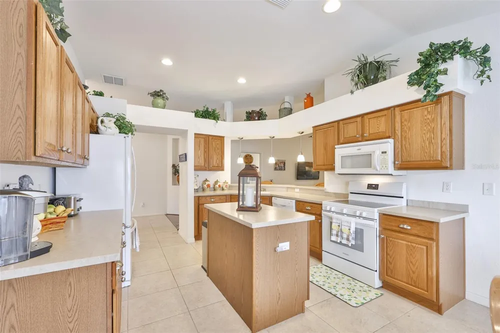 1251 CORINTH GREENS DRIVE Sun City Center, FL 33573