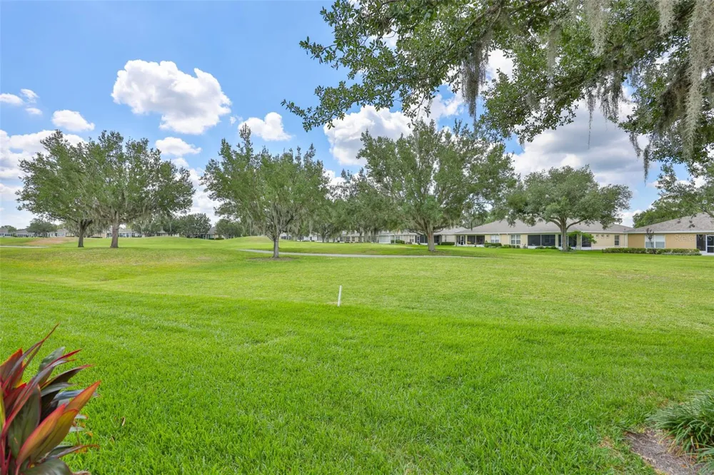 1251 CORINTH GREENS DRIVE Sun City Center, FL 33573