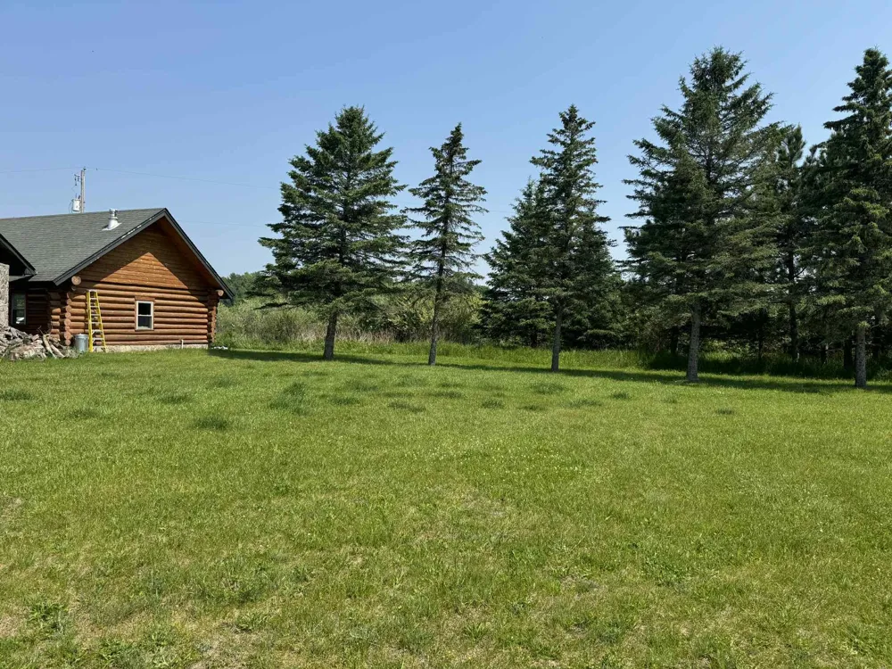 6294 100th Avenue Osceola Township, MI 49631
