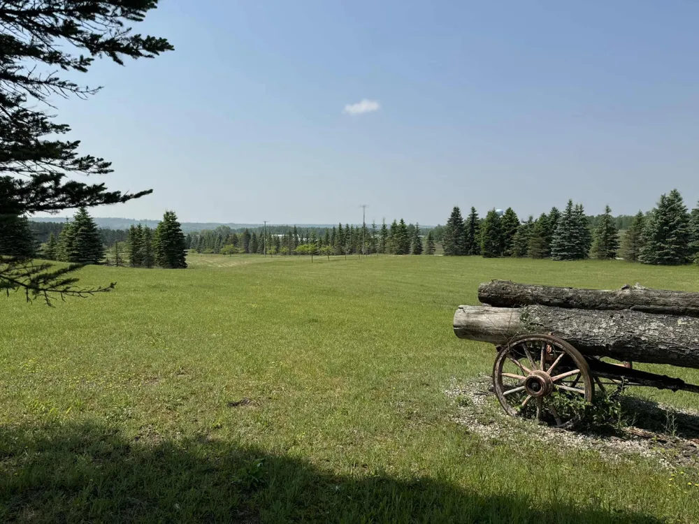 6294 100th Avenue Osceola Township, MI 49631