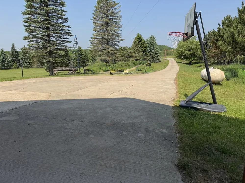 6294 100th Avenue Osceola Township, MI 49631
