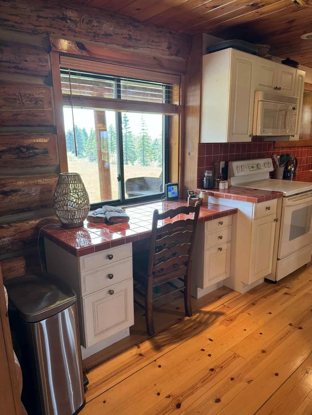 6294 100th Avenue Osceola Township, MI 49631