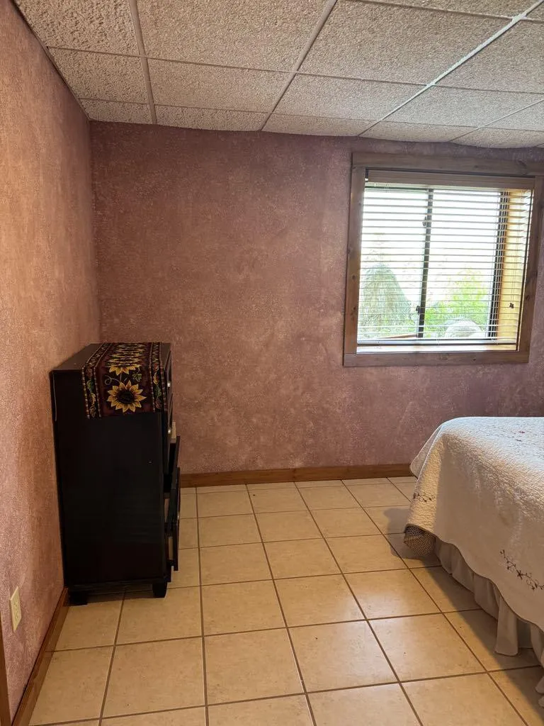 6294 100th Avenue Osceola Township, MI 49631