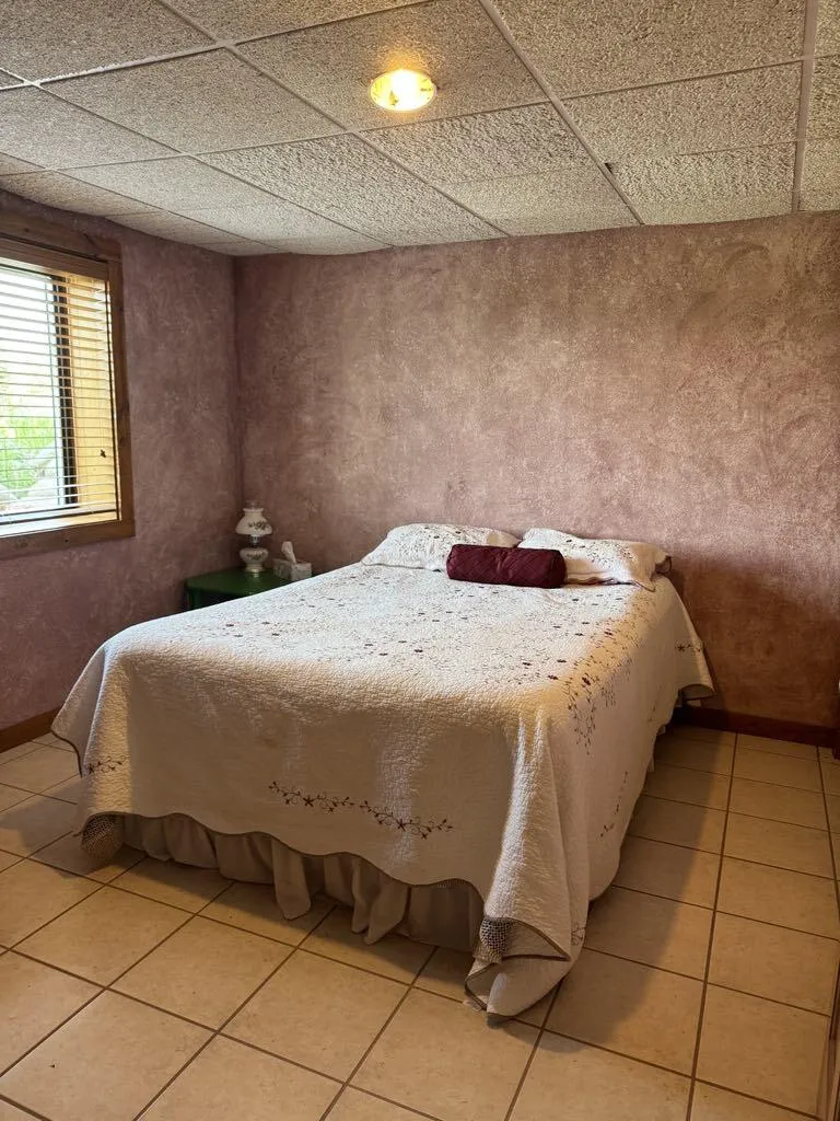 6294 100th Avenue Osceola Township, MI 49631
