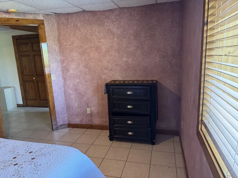 6294 100th Avenue Osceola Township, MI 49631