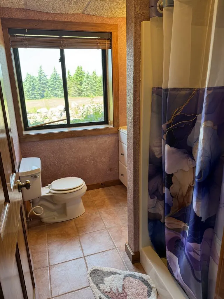 6294 100th Avenue Osceola Township, MI 49631