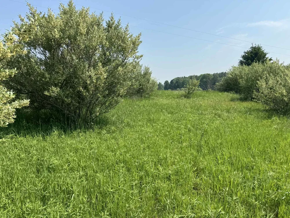 6294 100th Avenue Osceola Township, MI 49631
