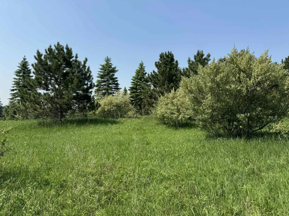 6294 100th Avenue Osceola Township, MI 49631
