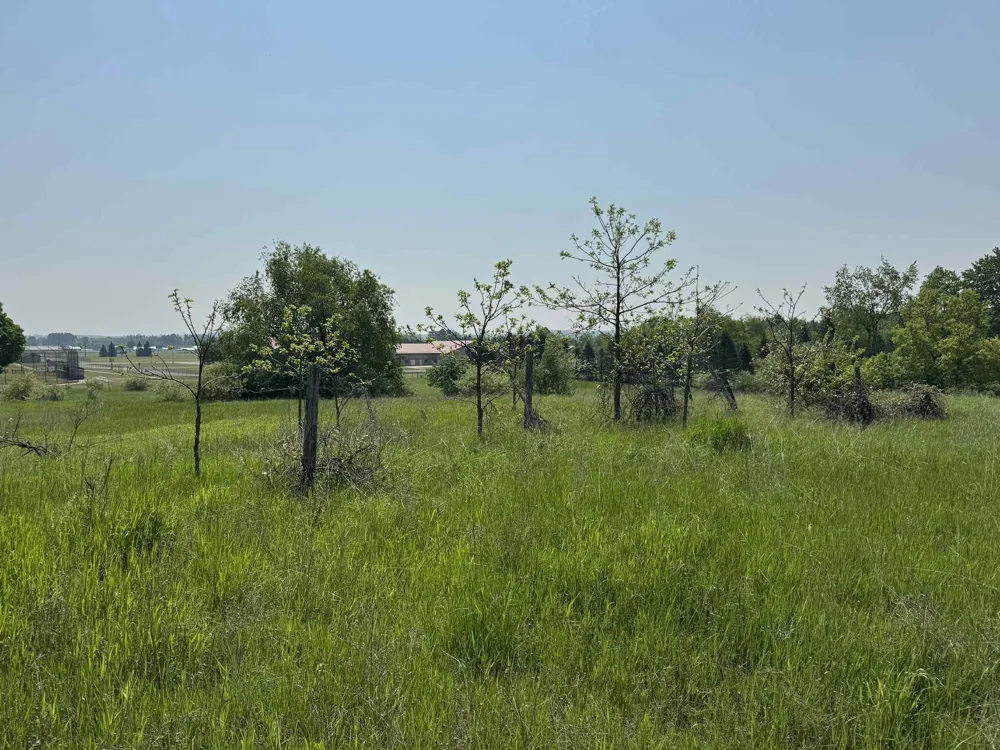 6294 100th Avenue Osceola Township, MI 49631