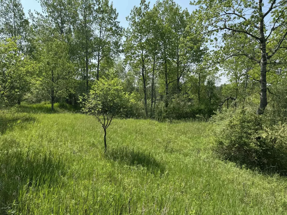 6294 100th Avenue Osceola Township, MI 49631