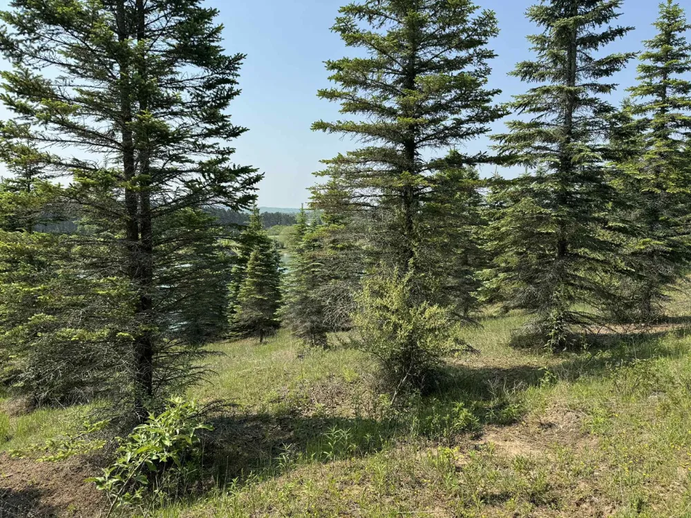 6294 100th Avenue Osceola Township, MI 49631