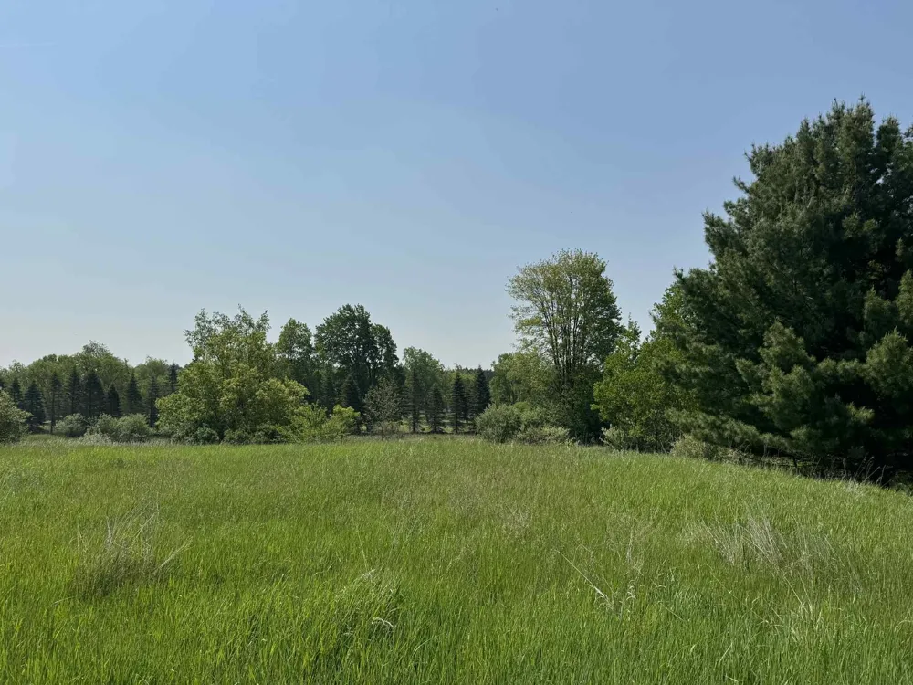 6294 100th Avenue Osceola Township, MI 49631