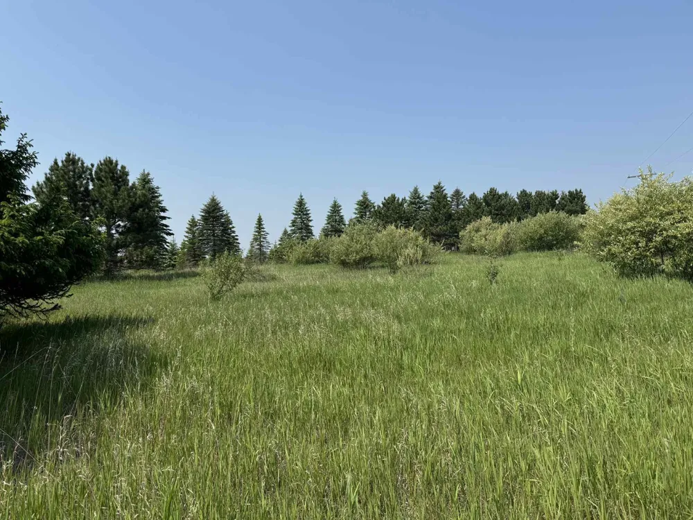 6294 100th Avenue Osceola Township, MI 49631