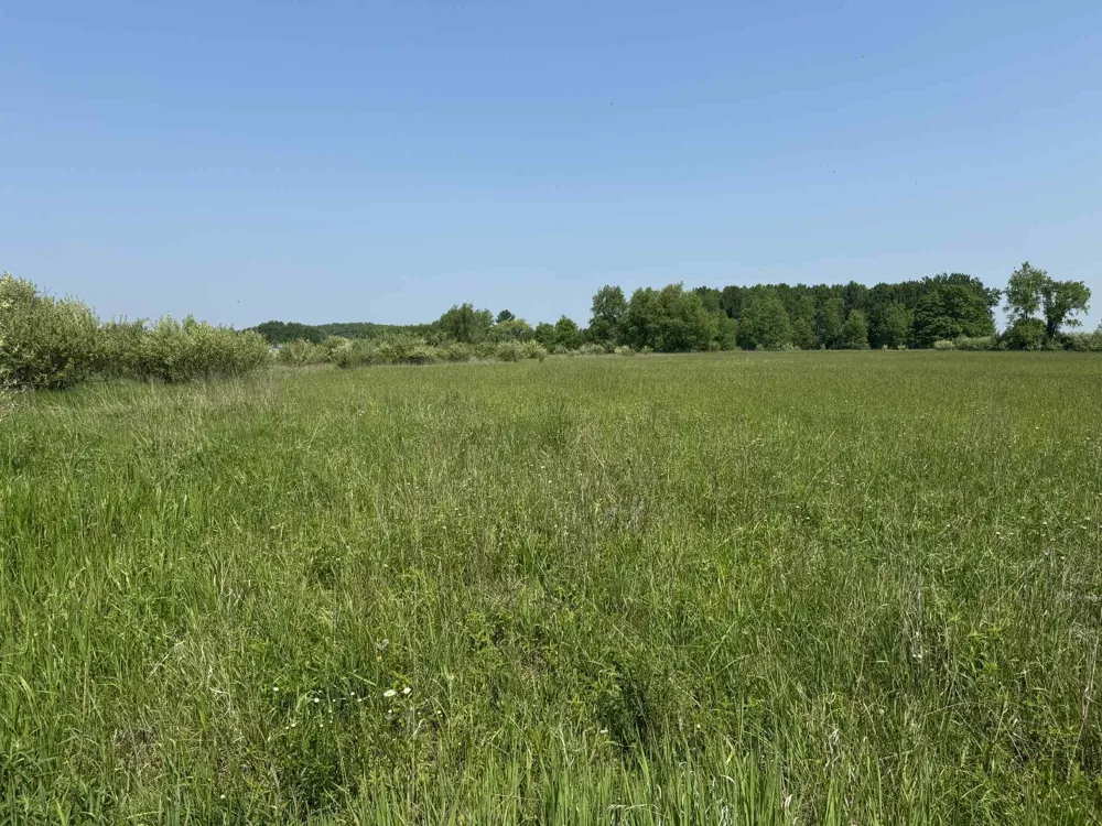 6294 100th Avenue Osceola Township, MI 49631