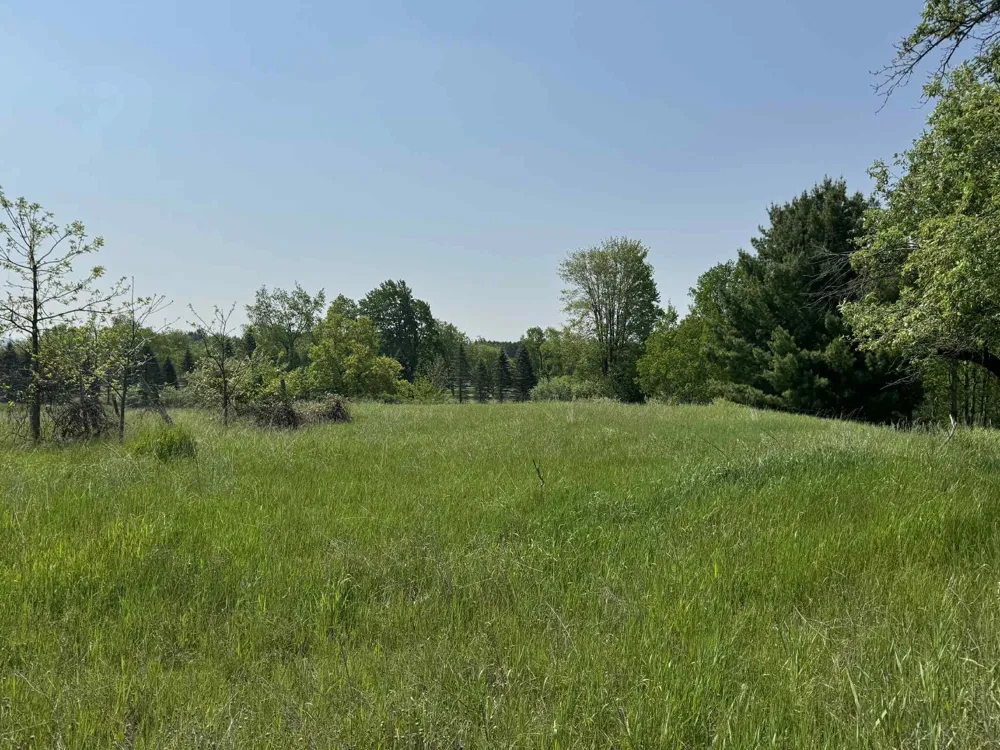 6294 100th Avenue Osceola Township, MI 49631