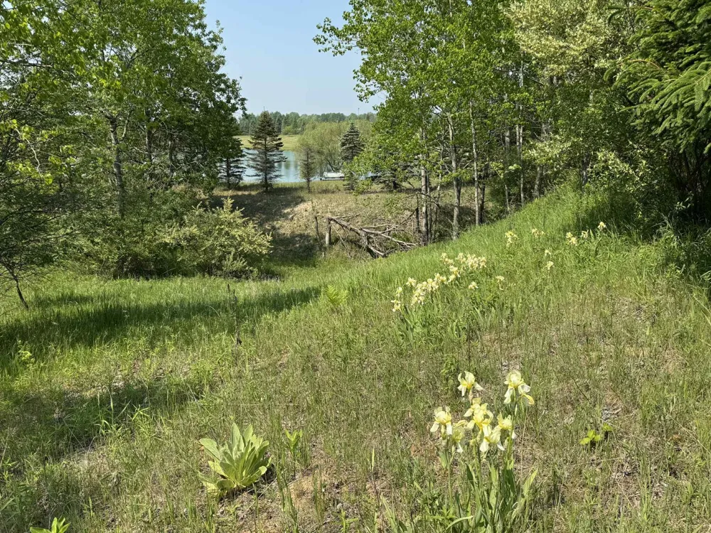 6294 100th Avenue Osceola Township, MI 49631