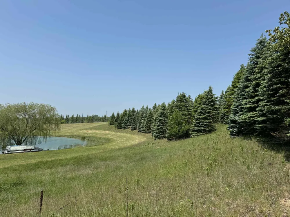 6294 100th Avenue Osceola Township, MI 49631