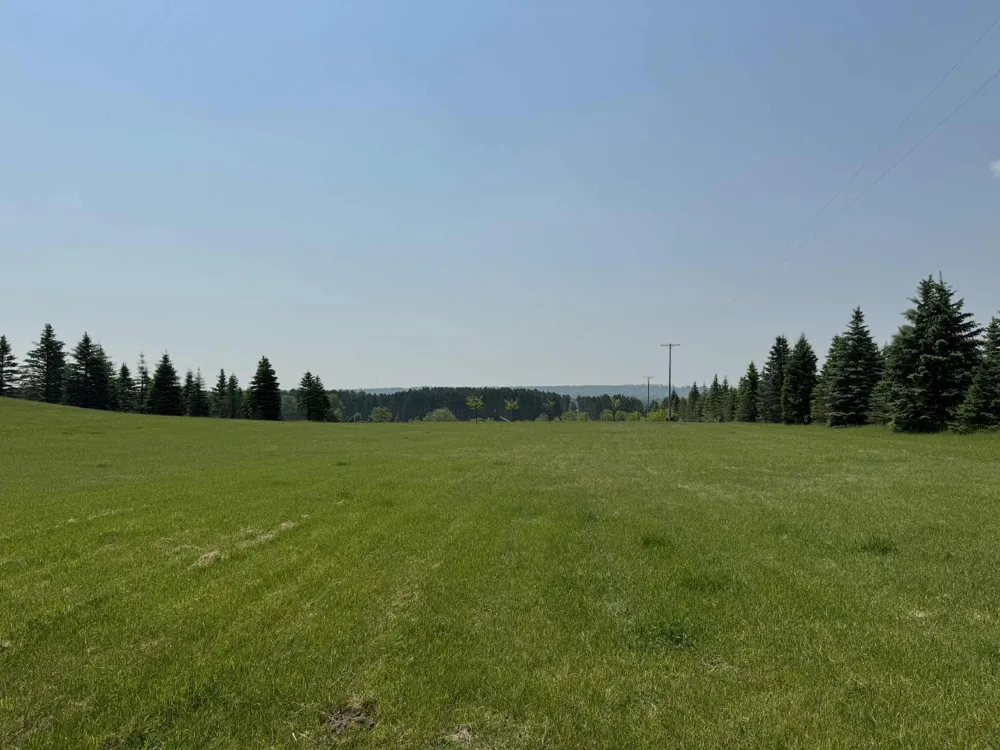 6294 100th Avenue Osceola Township, MI 49631