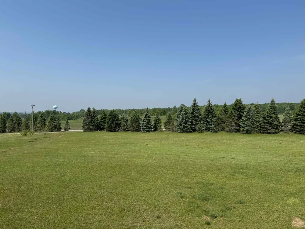 6294 100th Avenue Osceola Township, MI 49631