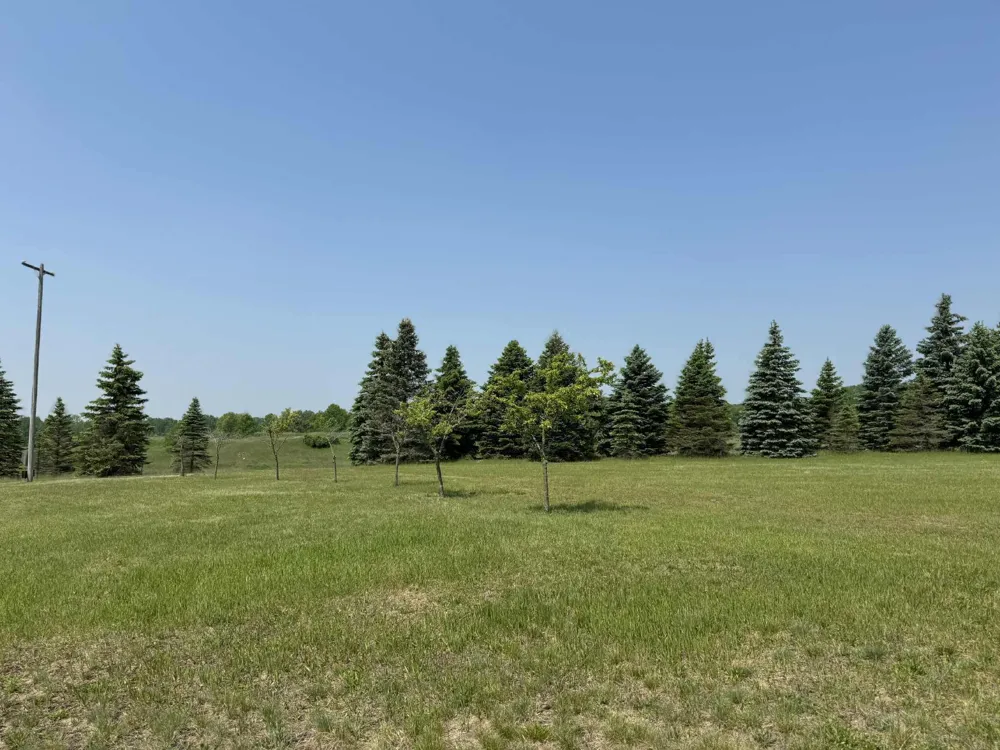6294 100th Avenue Osceola Township, MI 49631