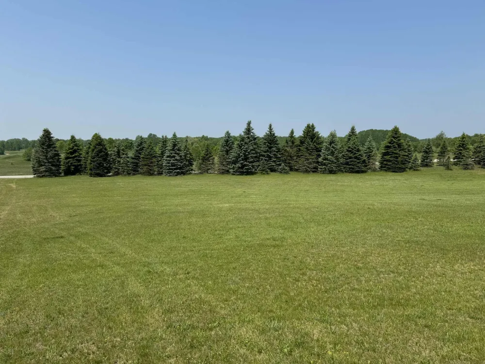 6294 100th Avenue Osceola Township, MI 49631