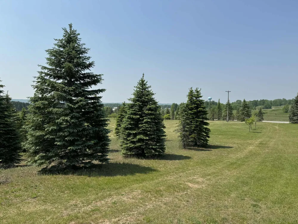 6294 100th Avenue Osceola Township, MI 49631