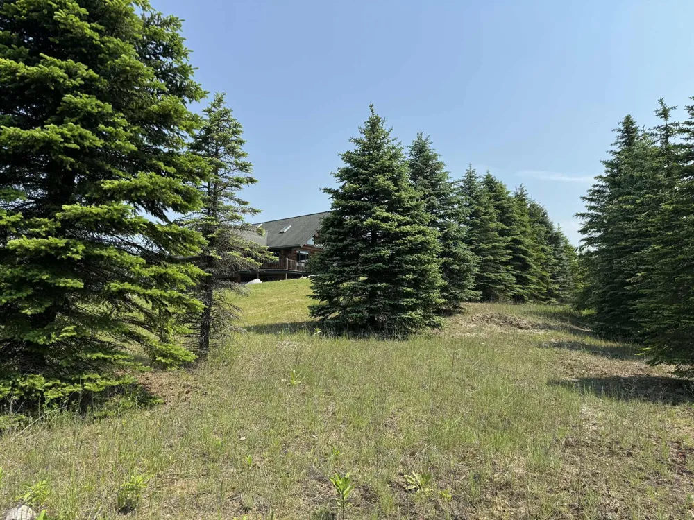 6294 100th Avenue Osceola Township, MI 49631