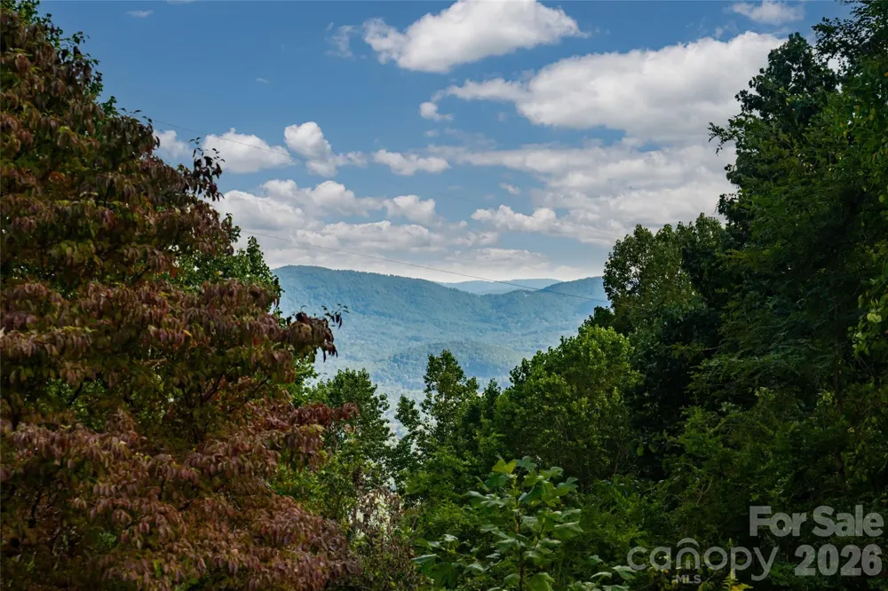 5 Meadow Ridge Drive Asheville, NC 28804