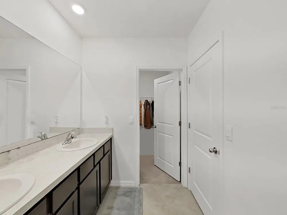 3556 WHITE DANDELION COURT Plant City, FL 33565