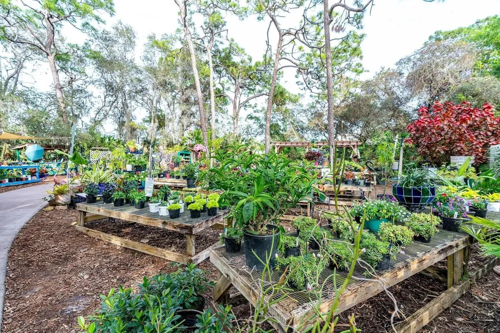 419 SE VIA SANGRO Port St. Lucie, FL 34952