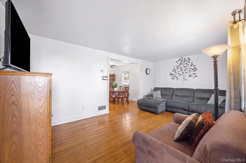 132 Nassau Street Elmont, NY 11003