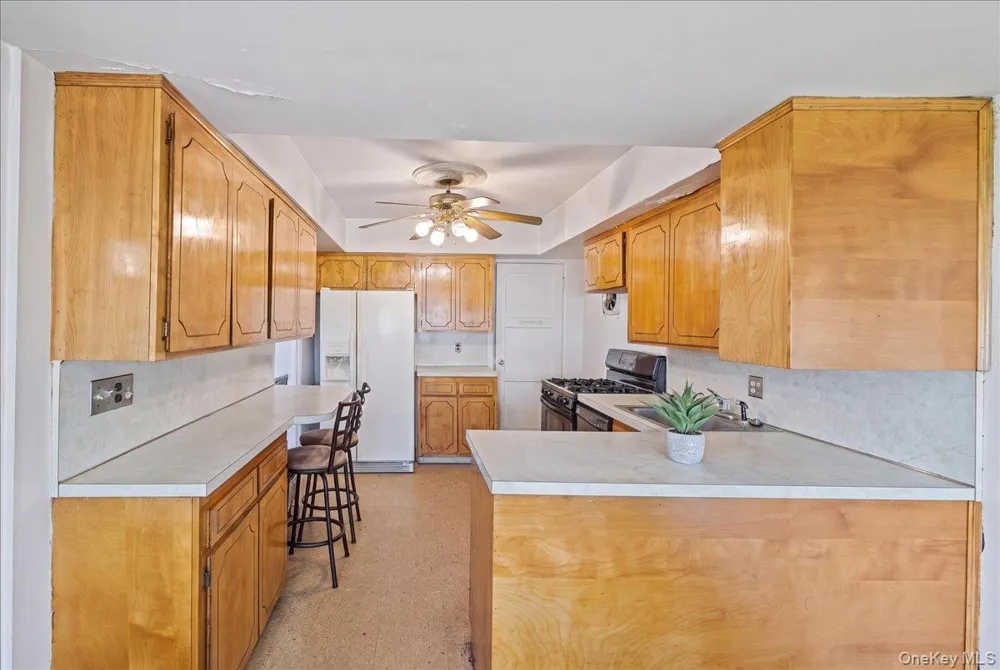 132 Nassau Street Elmont, NY 11003