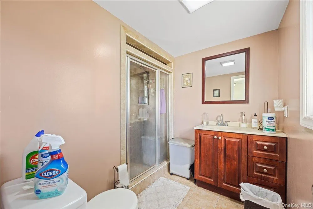 132 Nassau Street Elmont, NY 11003