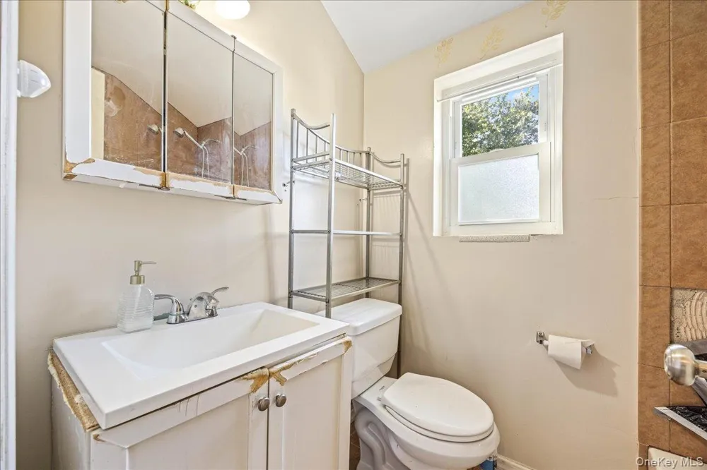132 Nassau Street Elmont, NY 11003