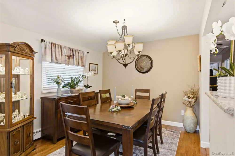 224 Holbrook Avenue Ronkonkoma, NY 11779
