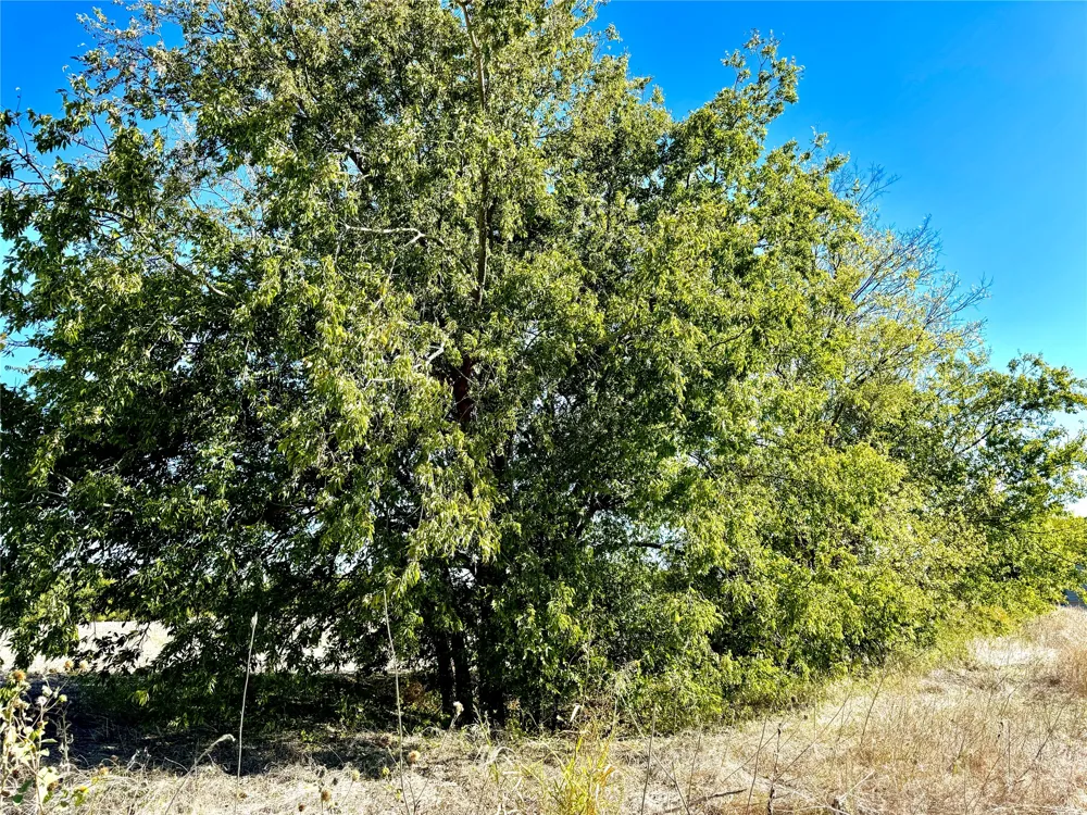 COUNTY ROAD 590 Nevada, TX 75173