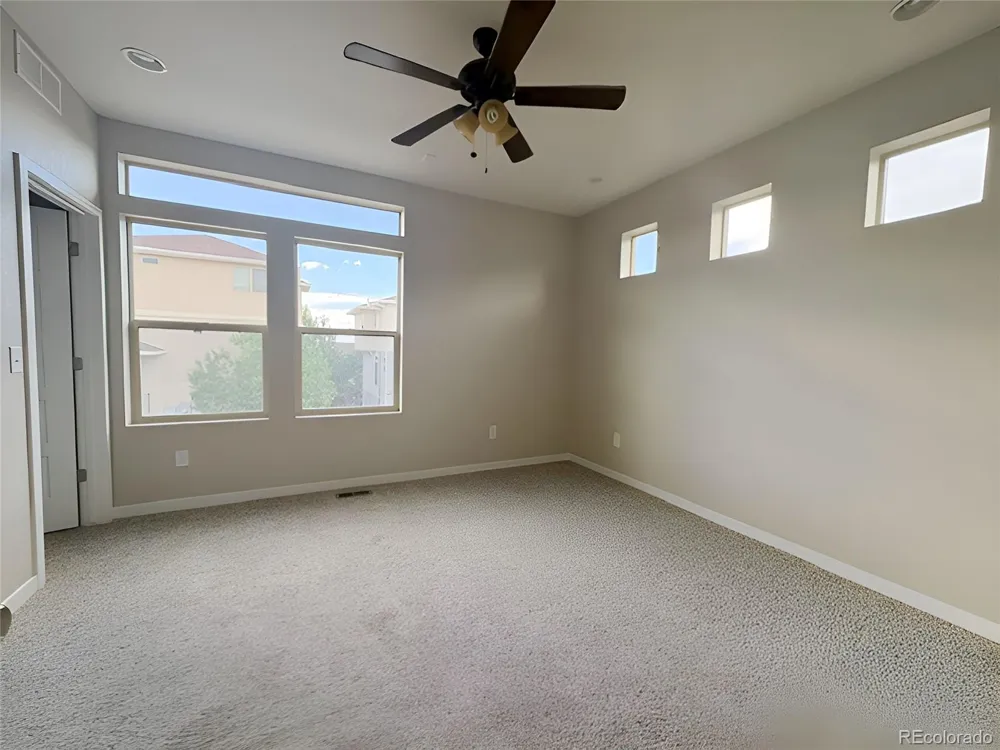 3112 Jonquil Street Castle Rock, CO 80109