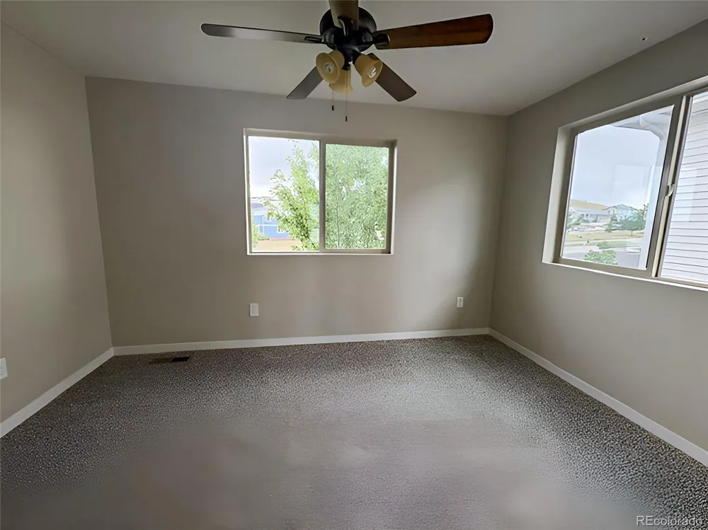 3112 Jonquil Street Castle Rock, CO 80109