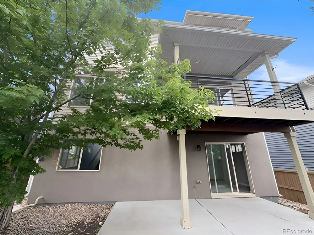 3112 Jonquil Street Castle Rock, CO 80109
