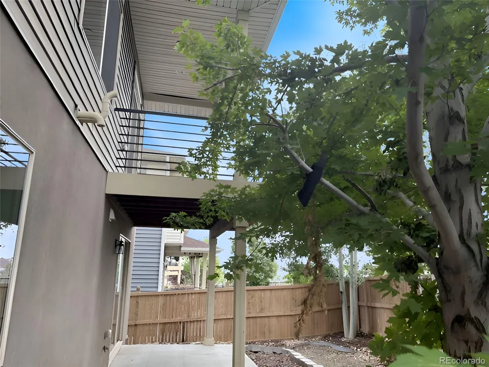3112 Jonquil Street Castle Rock, CO 80109