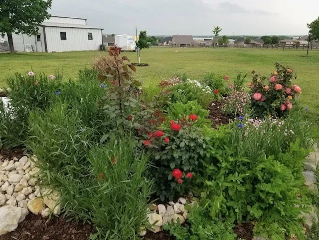 108 High Meadows Court Decatur, TX 76234