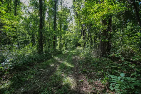 Millard Road