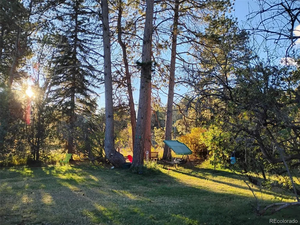 21555 Spring Creek Road Buffalo Creek, CO 80425