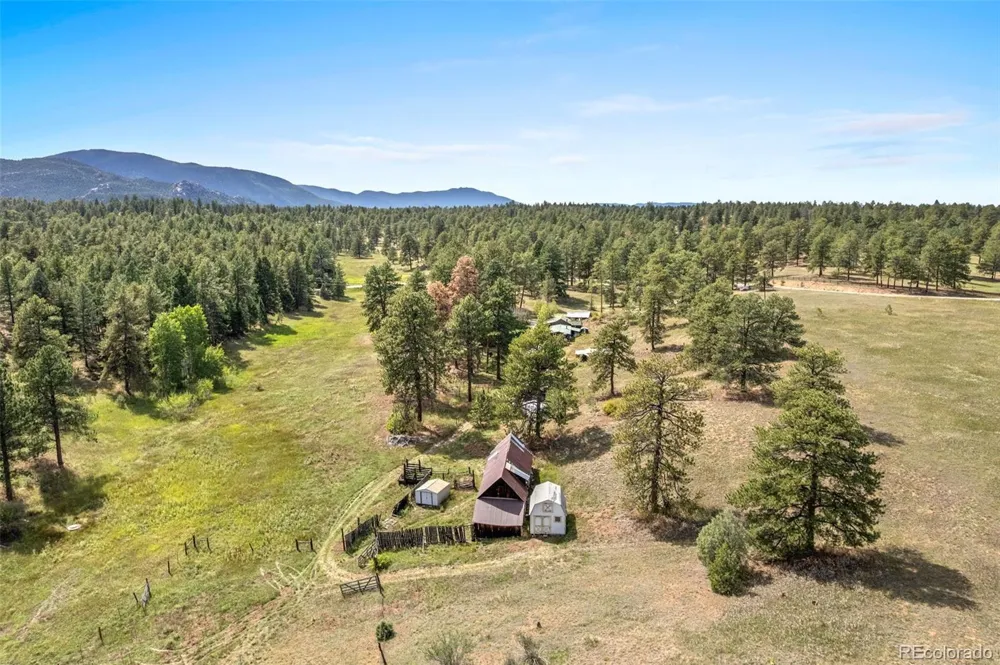 21555 Spring Creek Road Buffalo Creek, CO 80425