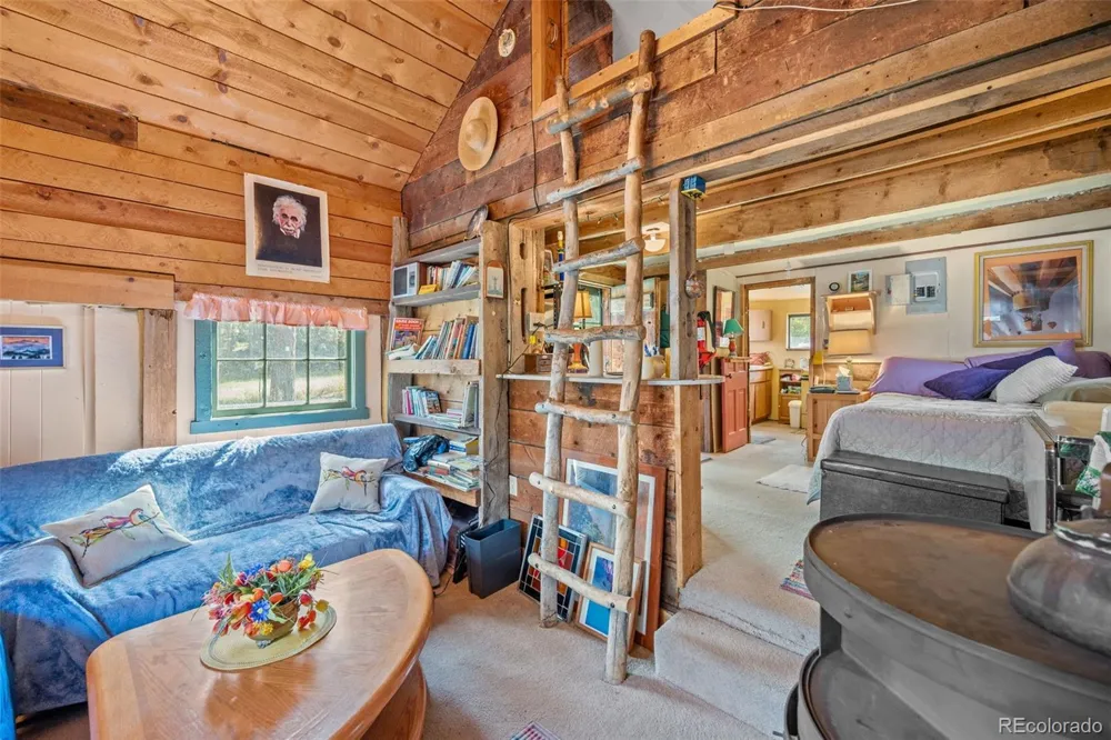 21555 Spring Creek Road Buffalo Creek, CO 80425