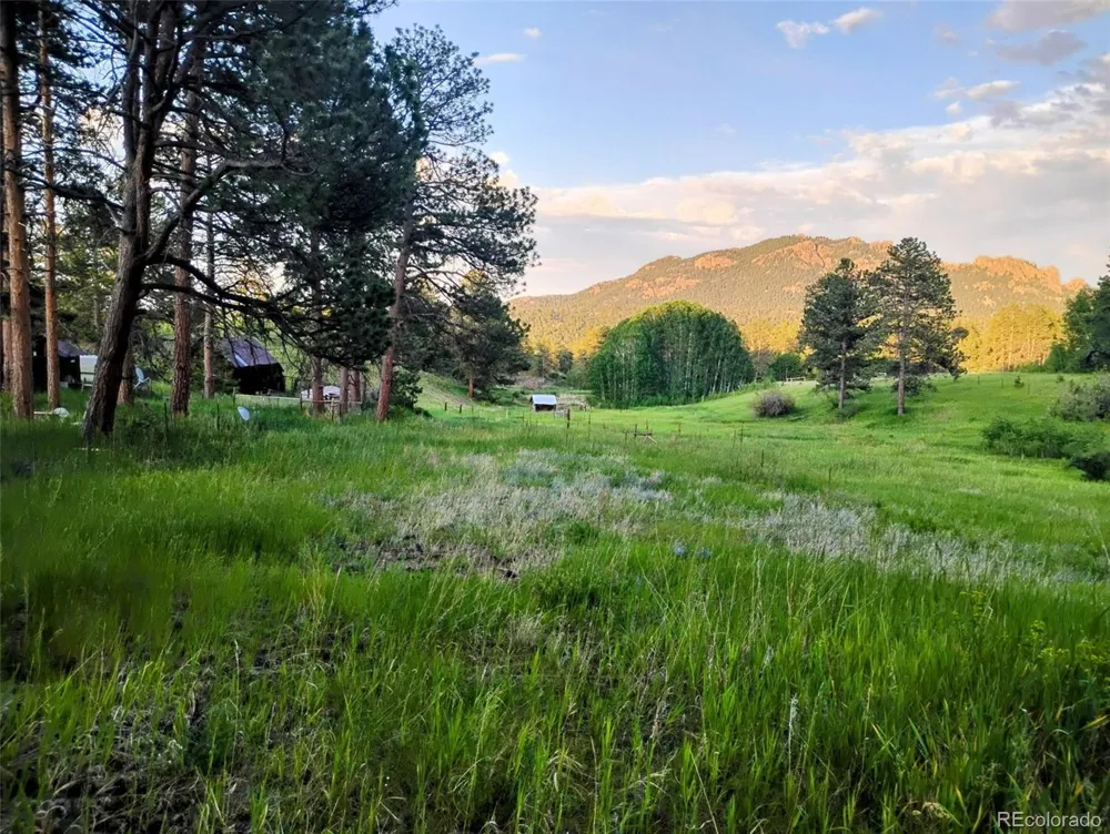 21555 Spring Creek Road Buffalo Creek, CO 80425